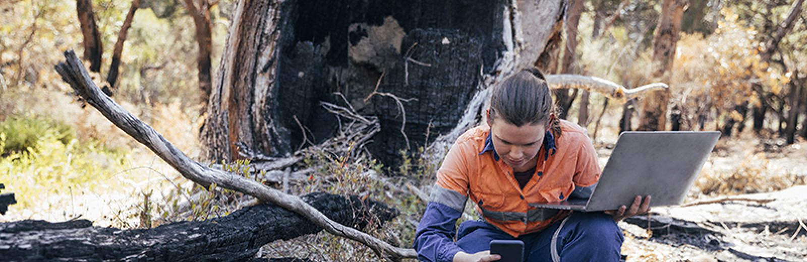 Rockingham Lake regional park.Female scientific environmental conservationist working with the aid of technology to collect data. The Australian Bush has been damaged by fire.