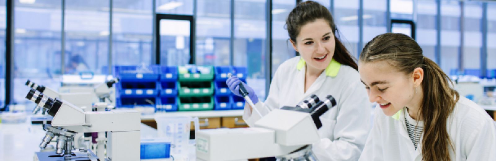 Undergraduate Medical Microbiology students working in a lab