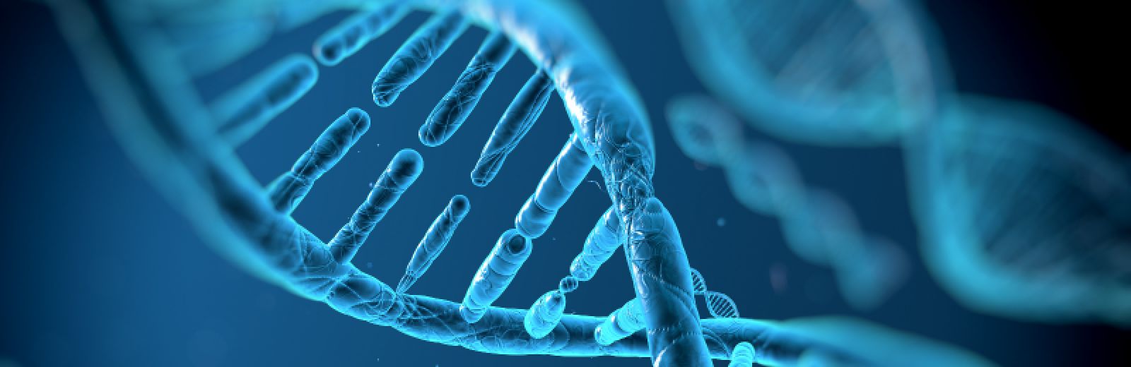 DNA molecules