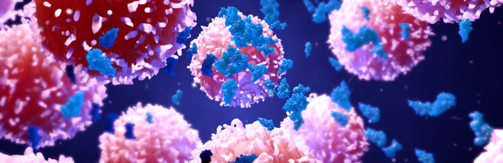This image is a graphic representation of cancer cells. The cells are red, pink and blue on a dark blue background.